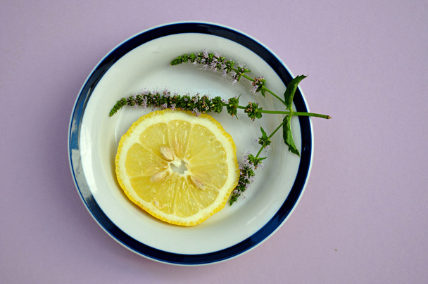lemon and mint - Fotoğraf, Görsel