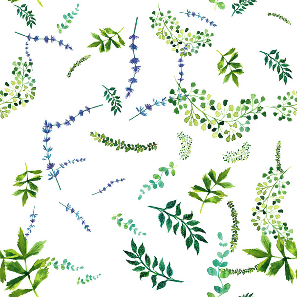 Watercolor seamless pattern with herbs and leaves. - 写真・画像