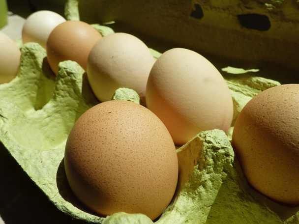 Biologically eggs in egg box - Photo, Image
