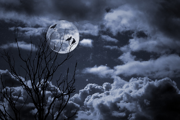 Halloween lua cheia e corvos
 - Foto, Imagem