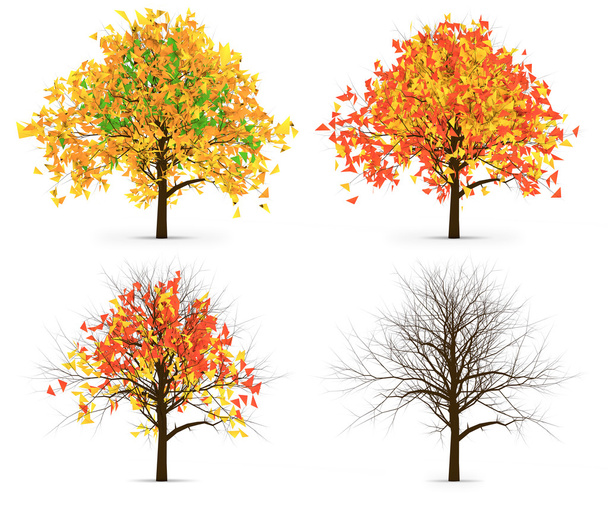 Four Autumn Trees Leaves Color Variation - Photo, Image
