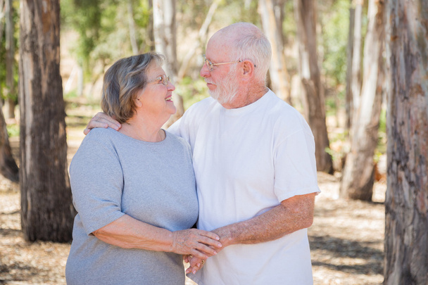 Feliz pareja de ancianos retrato al aire libre
 - Foto, Imagen
