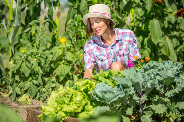 Happy smiling caucasian female farmer or gardener  working in a garden - Фото, зображення