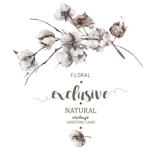Ramillete de ramitas y flores de algodón
 - Vector, Imagen