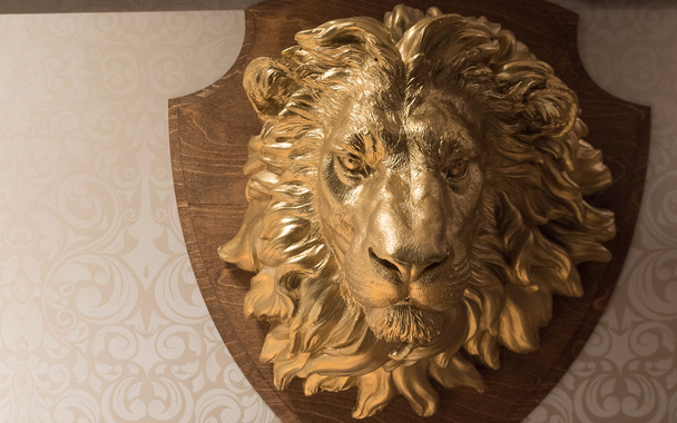 Arany oroszlán fej - Fotó, kép