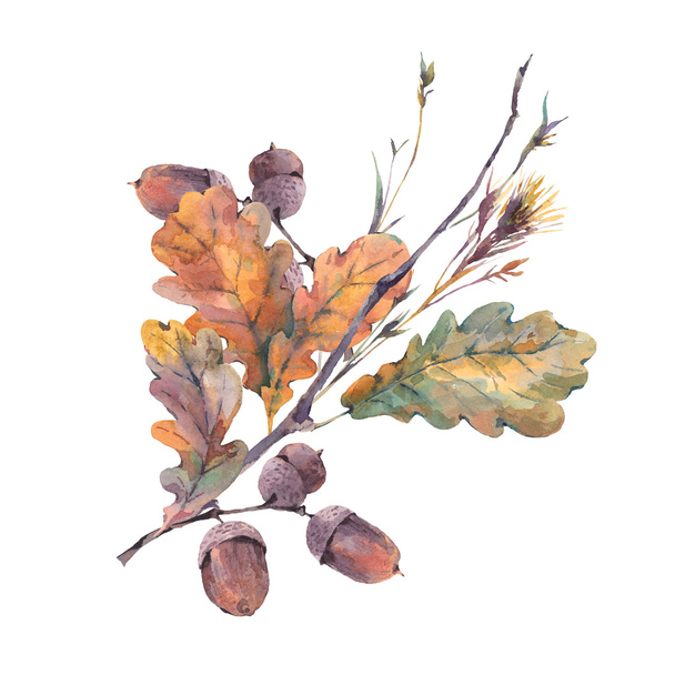 Watercolor autumn vintage bouquet - Фото, зображення