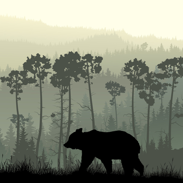 Τετράγωνο Εικονογράφηση της αρκούδας σε καταπράσινη πλαγιά. - Διάνυσμα, εικόνα