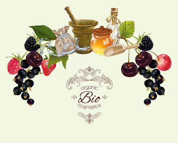 Fruit and berry banner - Vector, imagen