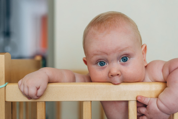 Little baby boy sanding in the cot and eats railing - 写真・画像