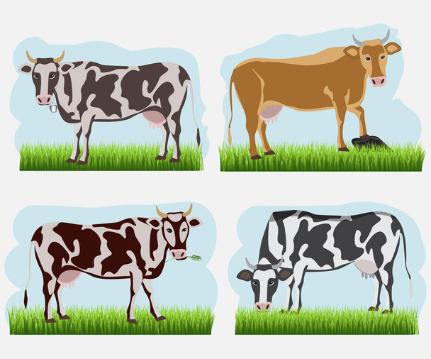 Ensemble de vaches, icônes plates. Vaches vectrices
 - Vecteur, image