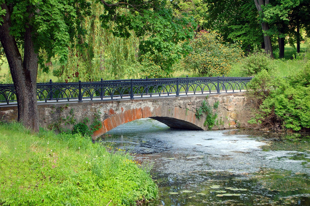 Park brug bij Lente - Foto, afbeelding