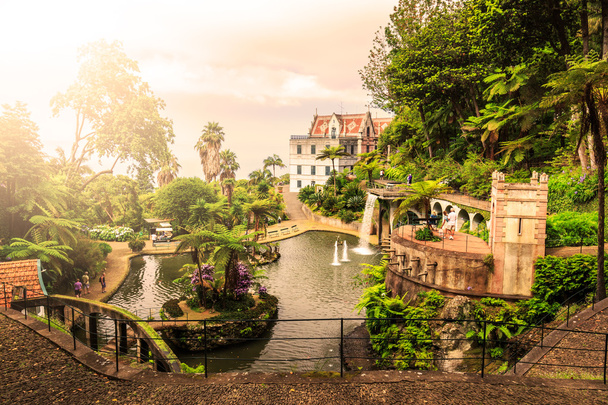Монте Tropican палац сад - Фото, зображення