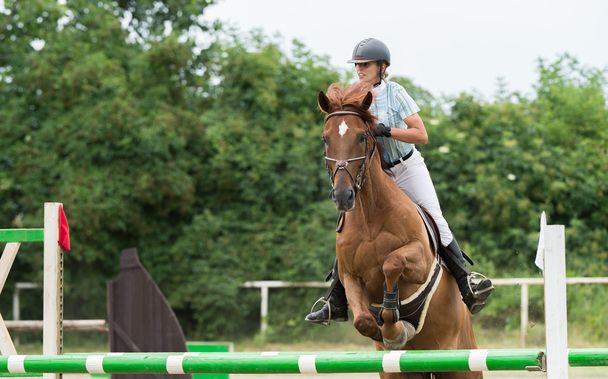 馬術競技、馬のジャンプ、ショーの跳躍 - 写真・画像