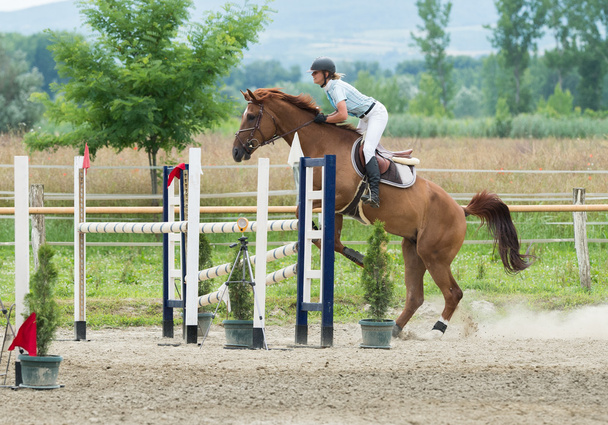馬術競技、馬のジャンプ、ショーの跳躍 - 写真・画像