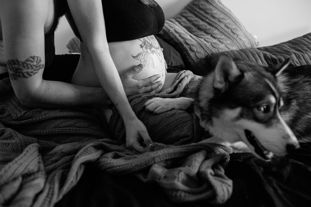 Έγκυος γυναίκα, ο άνθρωπος και το σκυλί κάθεται σε ένα κρεβάτι - Φωτογραφία, εικόνα