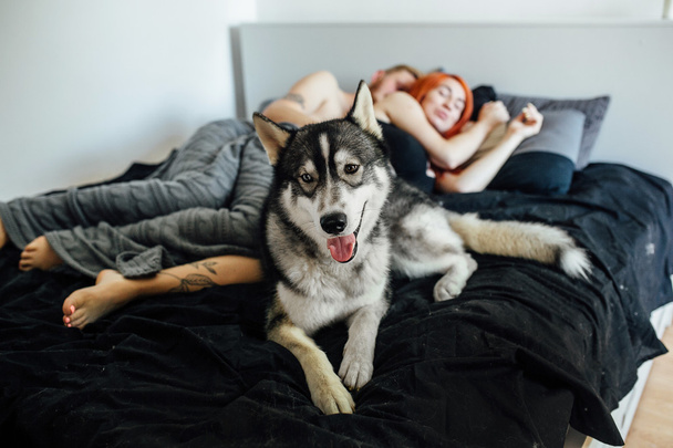 Беременная женщина, мужчина и собака лежат на кровати
 - Фото, изображение