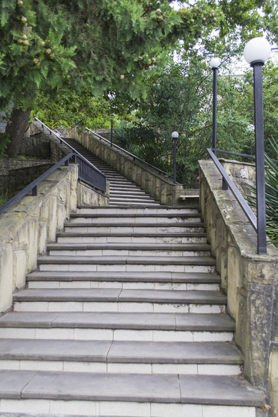 Stairs in a park - Фото, зображення