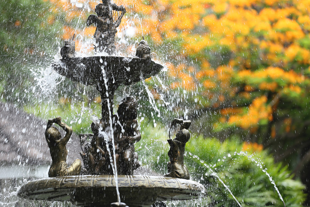The fountain in the garden and have peacock flowers is blooming. - Photo, Image
