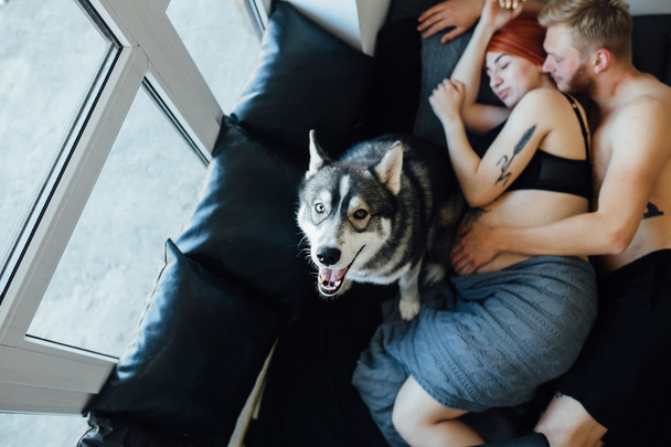 妊娠中の女性、男とベッドの上に横たわる犬 - 写真・画像