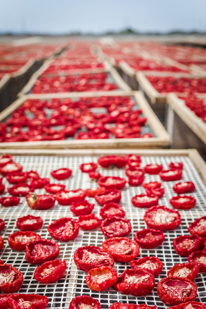 В'яленими помідорами в Сицилії - Фото, зображення