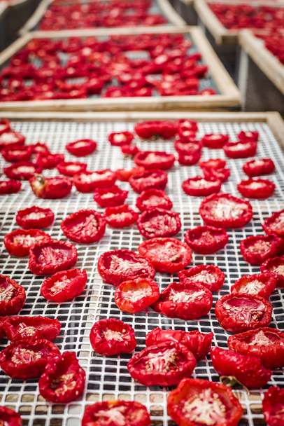Sun dried tomatoes in Sicily - Photo, Image
