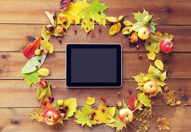 tablet pc with autumn leaves, fruits and berries - Фото, зображення