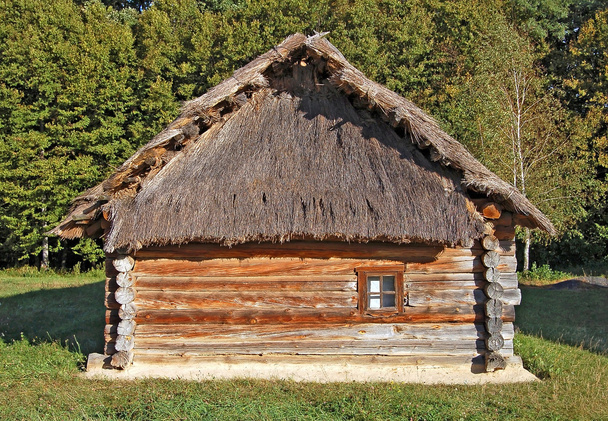 Antica capanna con tetto di paglia
 - Foto, immagini