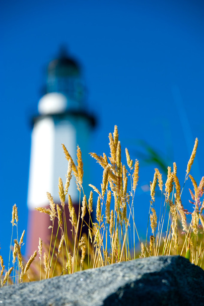 Montauk Lighthouse - Photo, Image
