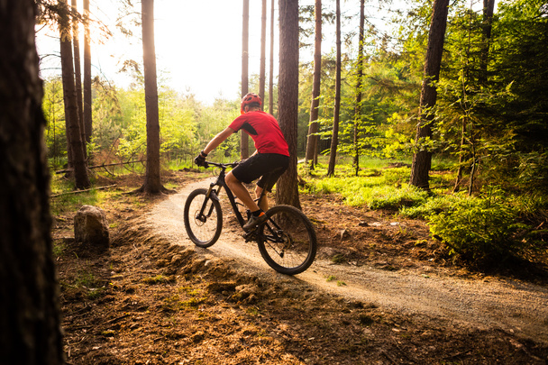Mountain Bike lovaglás, kerékpározás, nyári erdőben - Fotó, kép