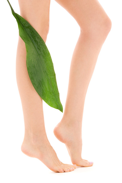 Female legs with green leaf - Fotografie, Obrázek