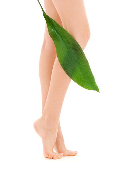 Female legs with green leaf - 写真・画像