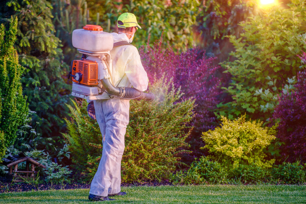 Pest Control Garden Spraying - Photo, Image