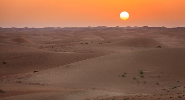 Sole che sorge sulle dune del Deserto
  - Foto, immagini