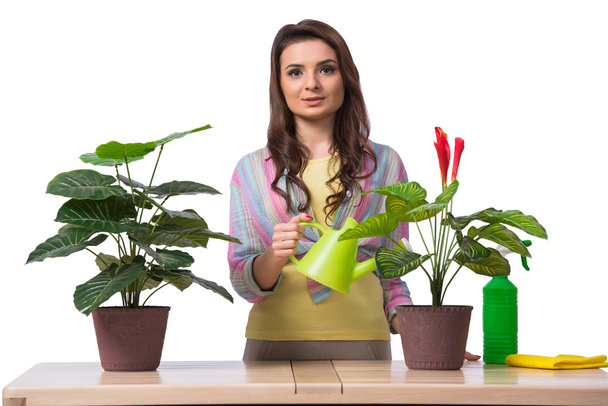 Жінка доглядає за рослинами ізольовано на білому
 - Фото, зображення