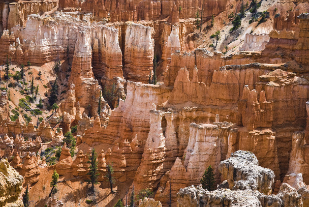 Bryce Canyon Np - Foto, Bild
