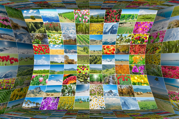 Collage de muchas fotos de la naturaleza - Foto, Imagen