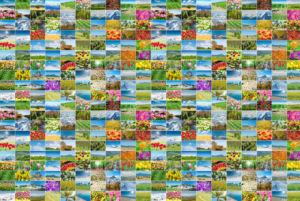 Collage of many nature photos - Photo, Image