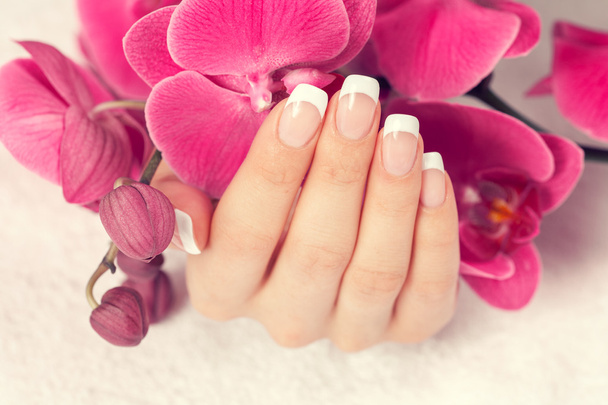 Beautiful female hand with french manicure - 写真・画像