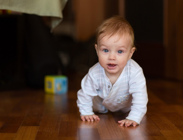 Crawling baby about the room - Photo, Image