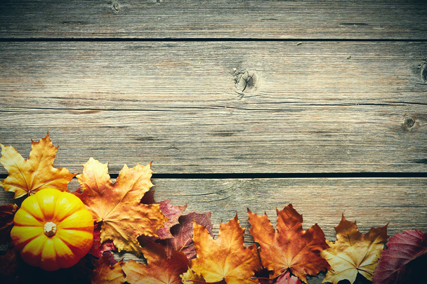 Осенние листья и тыква
 - Фото, изображение