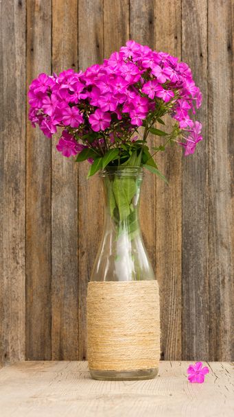 bouquet of phlox flowers in a glass bottle on the background of old barn boards. selective focus - Foto, immagini