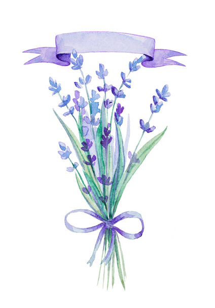 Watercolor lavender bouquet - 写真・画像