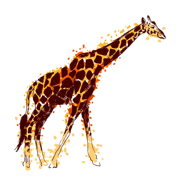Colored hand drawing giraffe - Διάνυσμα, εικόνα