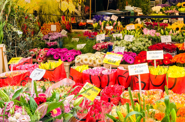 Blume auf einem Marktstand - Foto, Bild