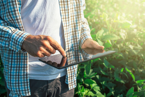 Farmer using digital tablet computer in cultivated soybean crops - Photo, Image