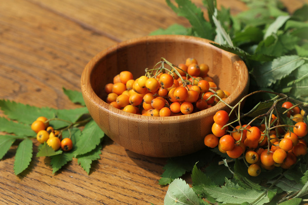 bunch of rowan berries in bowl - Photo, Image