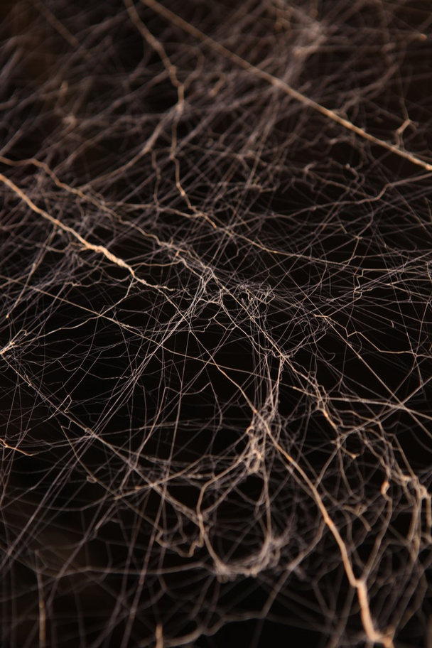Textura de tela de araña asustadiza - Foto, Imagen