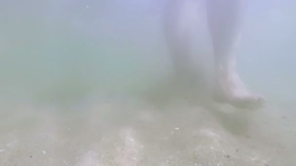 Aikuinen onnellinen mies tekee selfie meren rannalla ja hymyilee
 - Materiaali, video