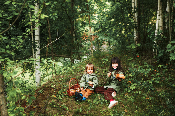 Children in forest. - Foto, afbeelding