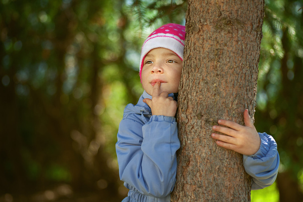 女の子幼児の手握りしめツリー - 写真・画像